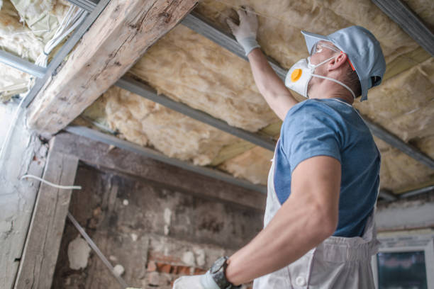 Types of Insulation We Offer in Stem, NC