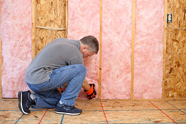 Best Geographic-Specific Insulation Services in Stem, NC