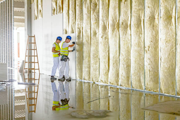 Best Residential Insulation in Stem, NC
